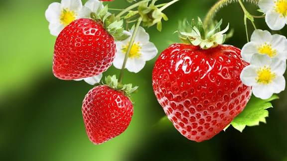 (10) Fraises