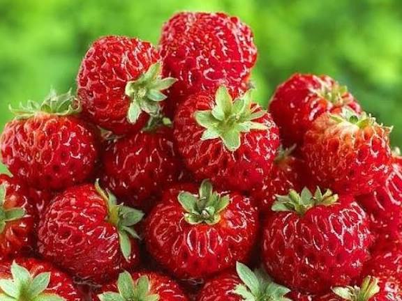 (20) Fraises